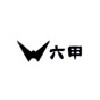 日本六甲高碳鋼彈簧鋼絲